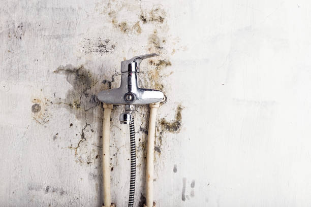 Home Mold Removal in Mulberry, NC