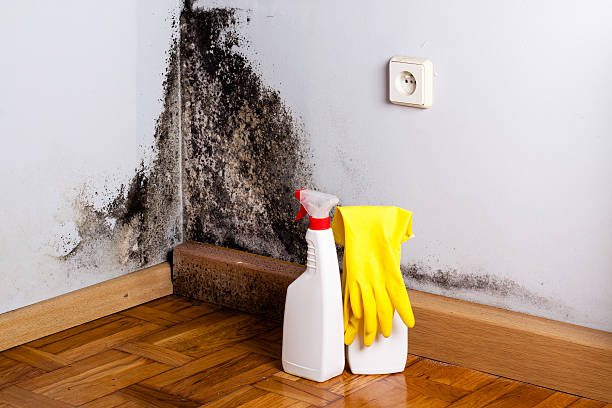 Best Residential Mold Removal  in Mulberry, NC