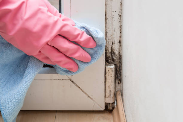 Water Damage Restoration in Mulberry, NC